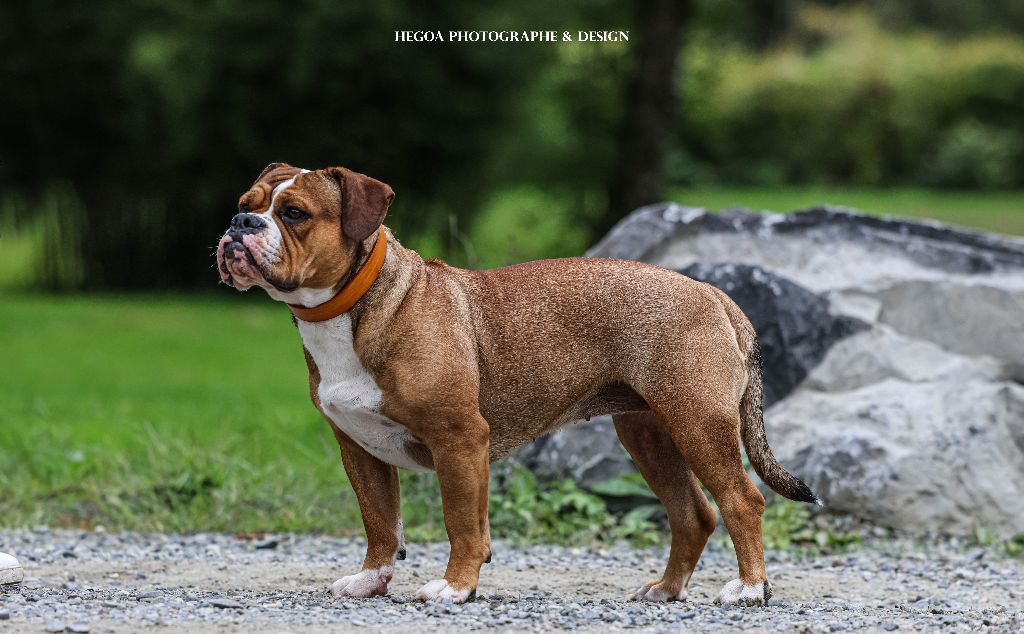 Valentine de Peyriac de Mer